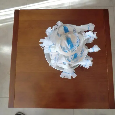 Flor De Lis 펜션 *